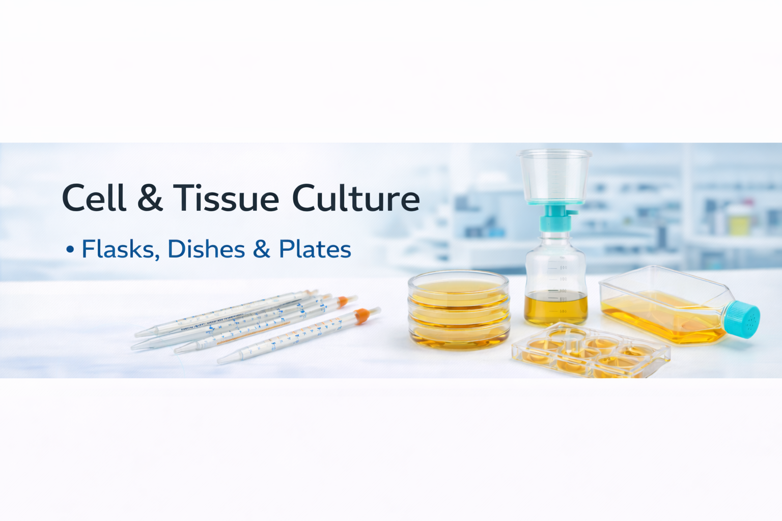 Cell Culture