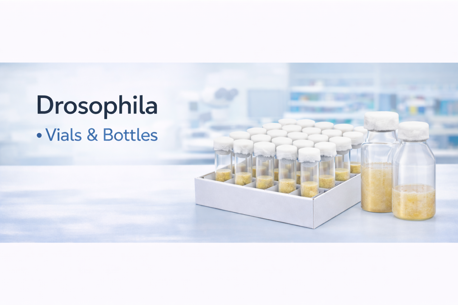 Drosophila