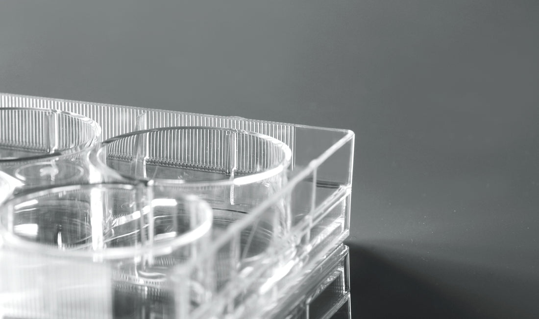 Cell Culture Plates - Treated