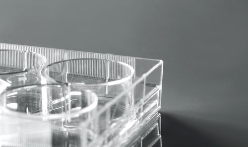 Cell Culture Plates - Treated