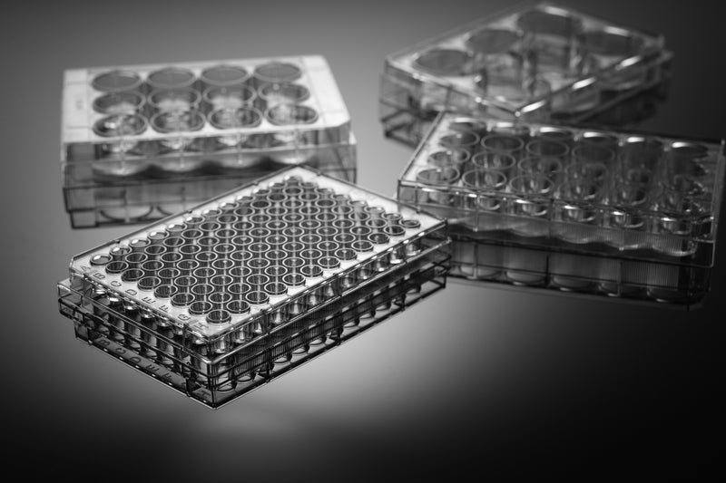 Cell Culture Plates - Treated